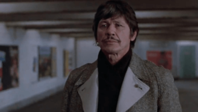 Charles Bronson Net Worth