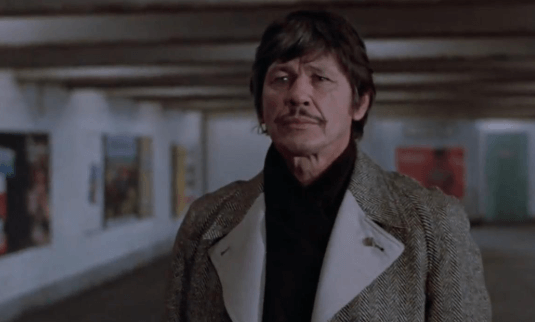 Charles Bronson Net Worth