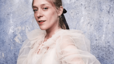 Chloe Sevigny Net Worth