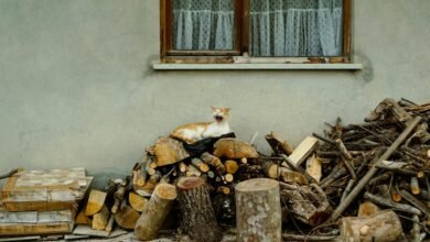 call bursts data analysis