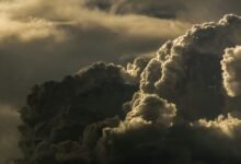 call center usage forecast