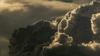 call center usage forecast