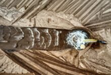 call sources by channel