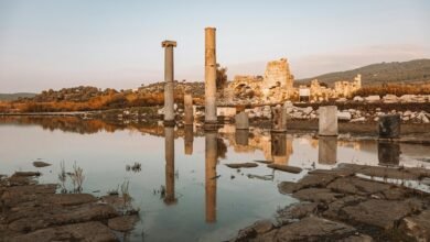 connection time analysis by region