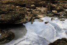 urban recurring caller patterns