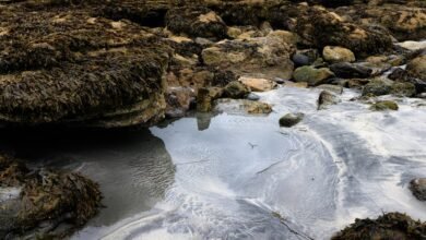 urban recurring caller patterns