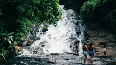 user experience call flow