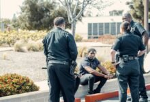 dialogue protection office numbers