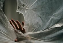 global caller watchdog committee