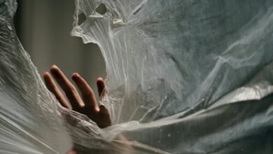 global caller watchdog committee