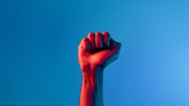 identity fraud compliance task force