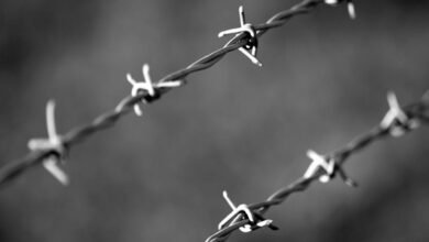 voice security division numbers