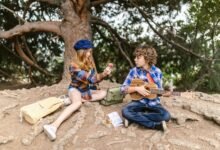 dollar tree schedule access